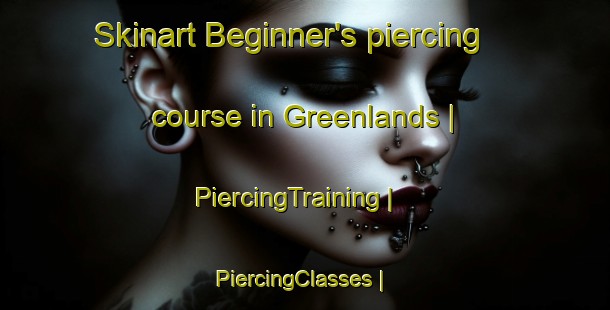 Skinart Beginner's piercing course in Greenlands | PiercingTraining | PiercingClasses | SkinartTraining-Canada
